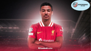 Diễn biến chuyển nhượng Liverpool trong những năm trước